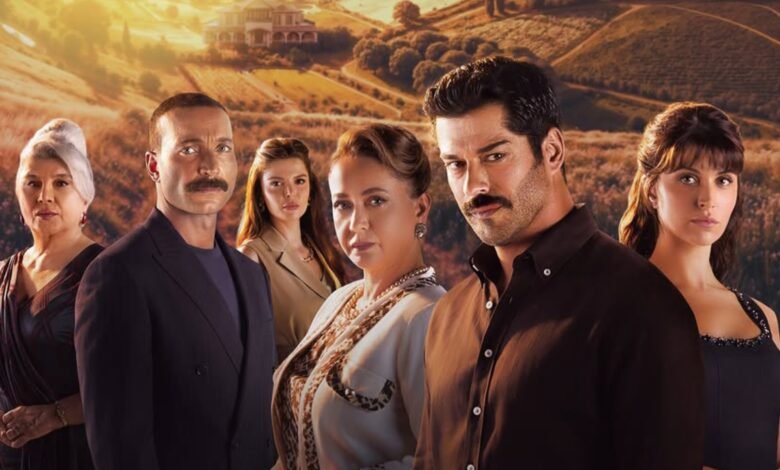 Gunesin Dogdugu Yer Episode 1 Urdu Subtitles